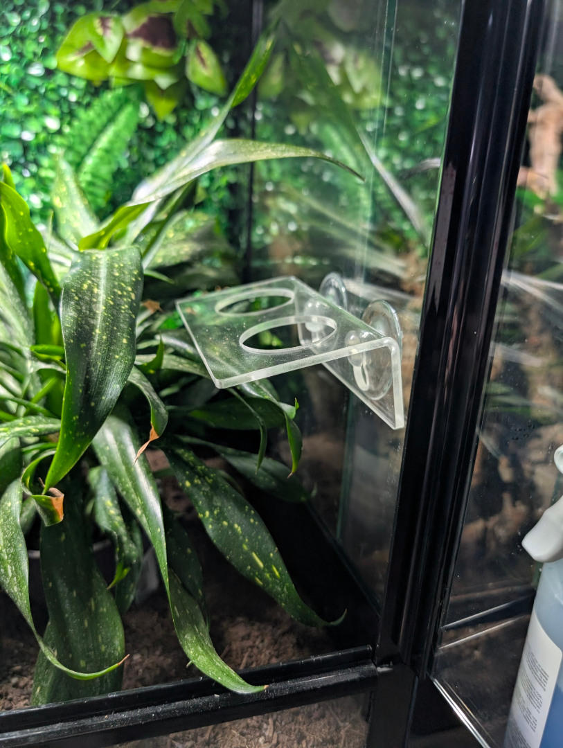 ReptiglobeReptiglobe Voederstation Small met Zuignappen ReptiglobeReptiglobe Voederstation Small met Zuignappen