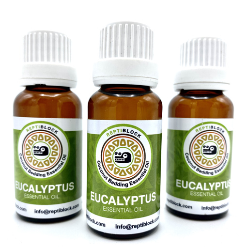 3 x Eucalyptus 20ml